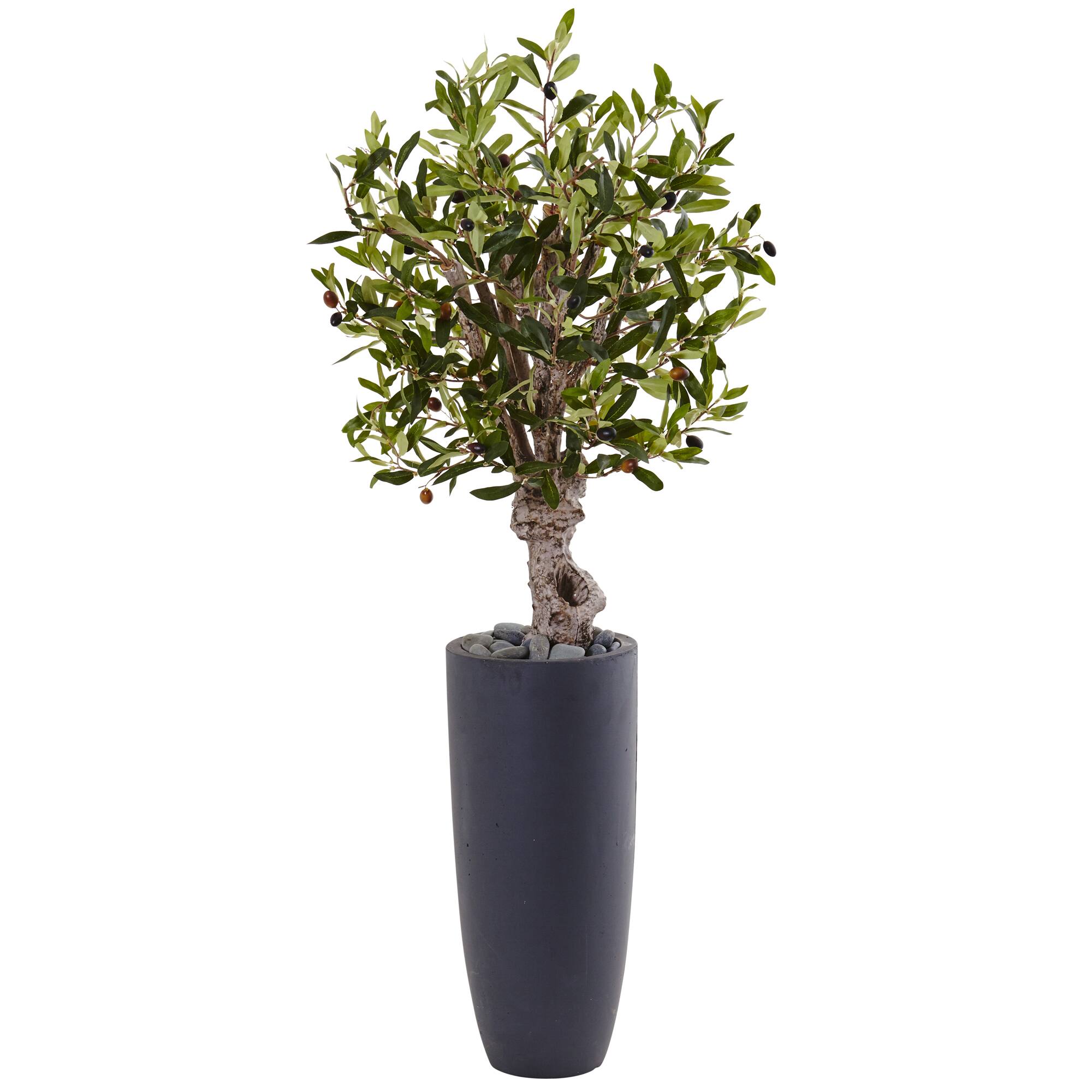 3.5ft. Olive Tree in Gray Cylinder Planter
